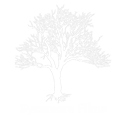 Sycamore Films